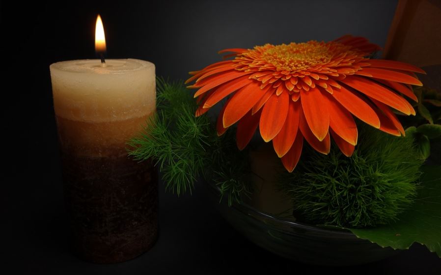 cremation services in Belle Plaine, MN