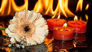 cremation services in Savage, MN